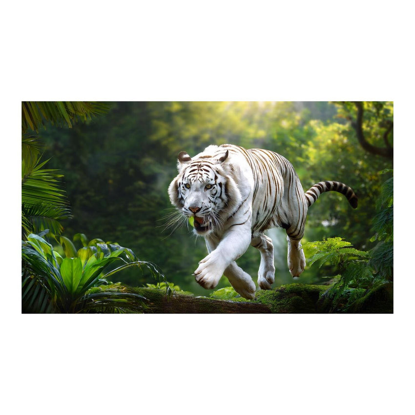 Wandbild Tiere 72