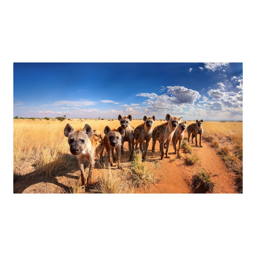 Wandbild Tiere 73