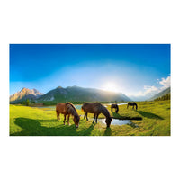 Wandbild Tiere 78