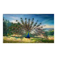 Wandbild Tiere 85