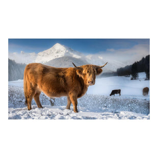 Wandbild Tiere 93