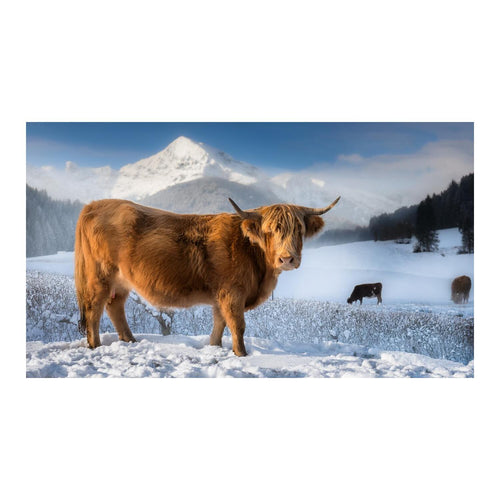 Wandbild Tiere 93