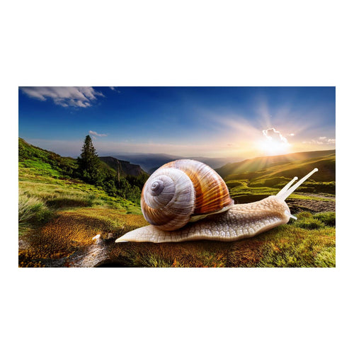 Wandbild Tiere 98
