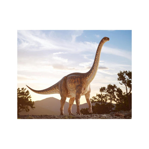 Wandbild Brachiosaurus