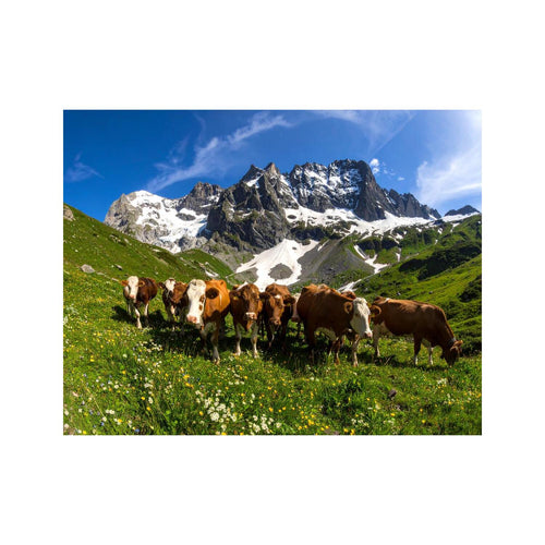 Wandbild Kuhherde auf alp 1