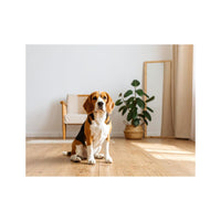 Wandbild Beagle