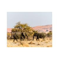 Wandbild Safari 1