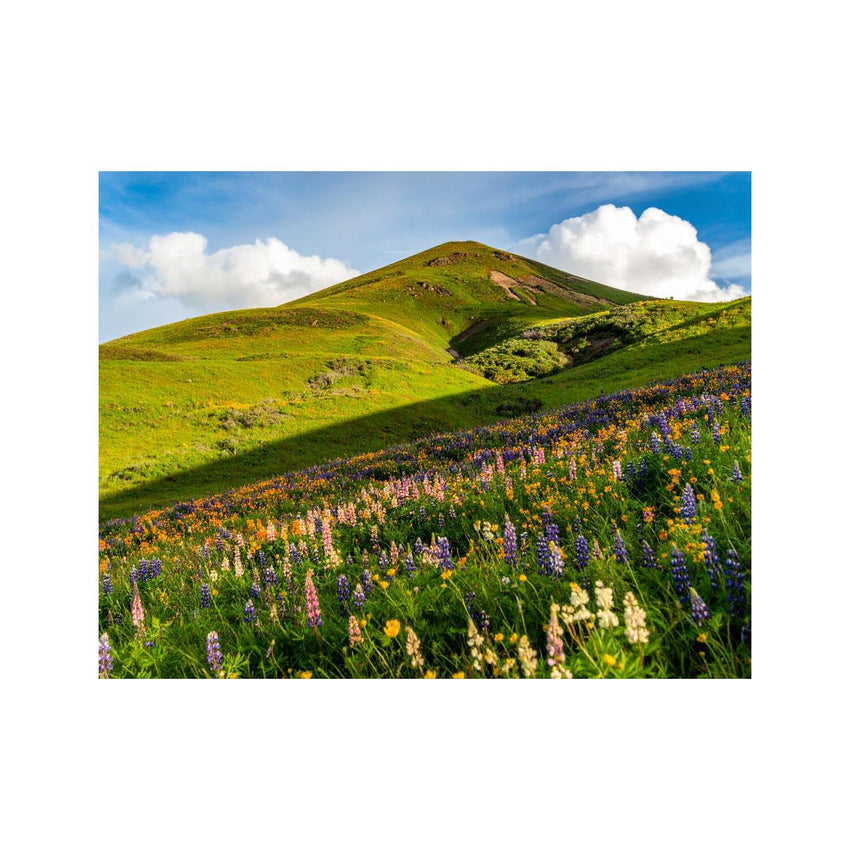 Wandbild Blühende Landschaft 5