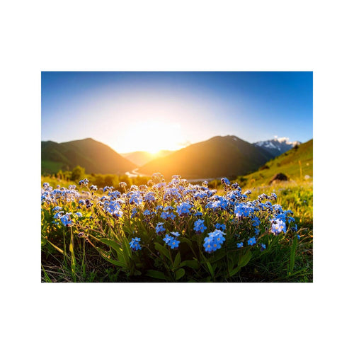 Wandbild Schoene Tulpen 2