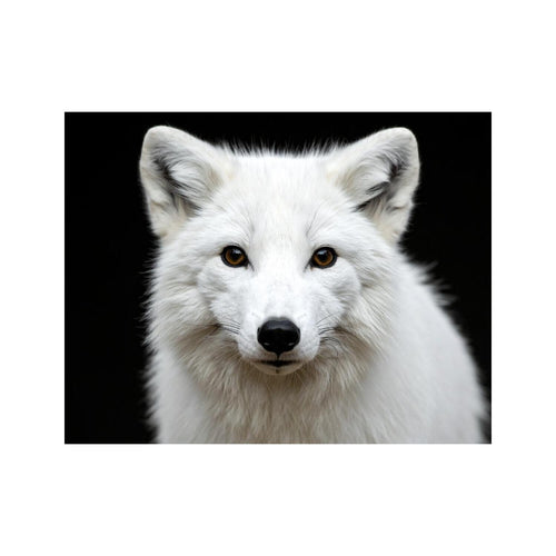 Wandbild Weisser Fuchs