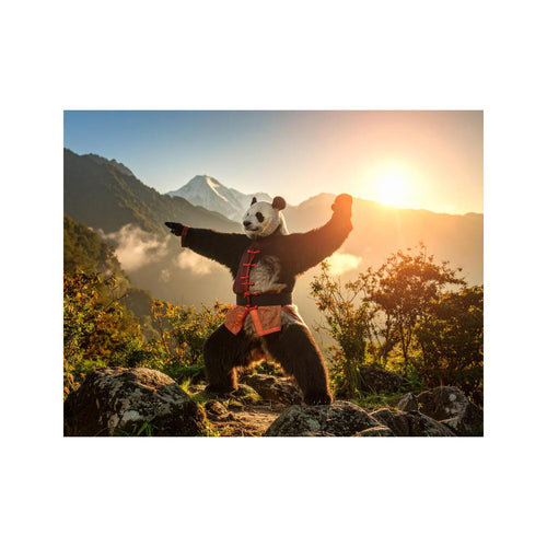 Wandbild Kung Fu Panda 1