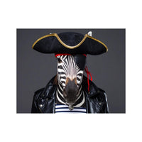 Wandbild Zebra Als Pirat