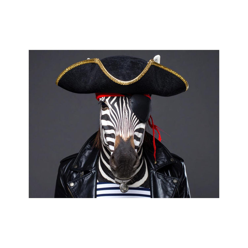 Wandbild Zebra Als Pirat