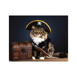 Wandbild Katze Als Pirat 2