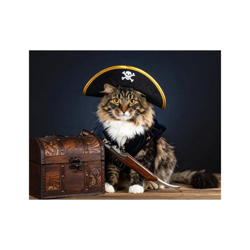 Wandbild Katze Als Pirat 2
