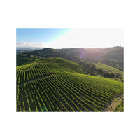 Wandbild Wunderschöne Rebberge 1