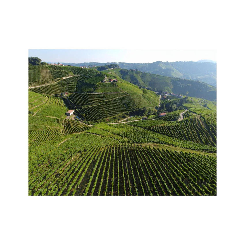 Wandbild Wunderschöne Rebberge 2