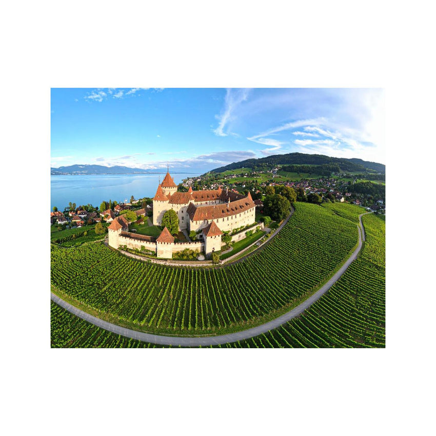 Wandbild Schloss Neuenburg 2