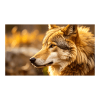 Wandbild Goldener Wolf 2
