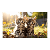Wandbild Katzenbabies 2