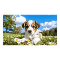 Wandbild Baby-Hund 1