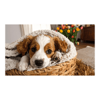 Wandbild Baby-Hund 2