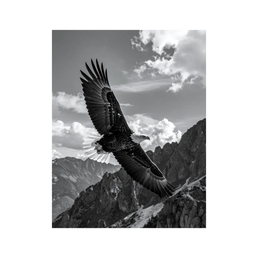 Wandbild Bergadler Schwarz Weiss