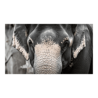 Wandbild Schwarz-Weisser Elefant 3