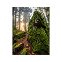 Wandbild Moosbewachsener Stein