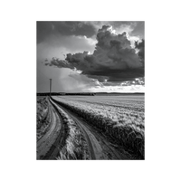 Wandbild Regen über Feldern Schwarz Weiss