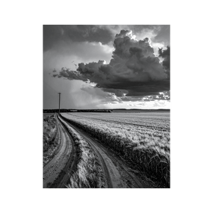 Wandbild Regen über Feldern Schwarz Weiss