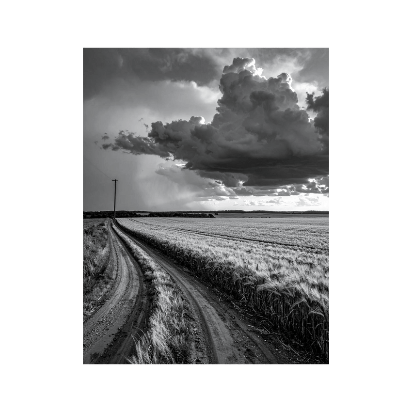 Wandbild Regen über Feldern Schwarz Weiss