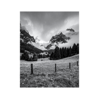 Wandbild Nebelschwaden Schwarz Weiss 3