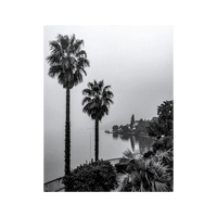 Wandbild Nebeliger Luganersee Schwarz Weiss