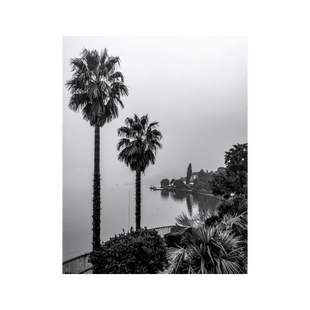 Wandbild Nebeliger Luganersee Schwarz Weiss