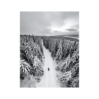 Wandbild Winter Nadelbaumwald Schwarz Weiss