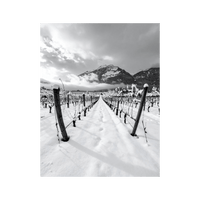 Wandbild Walliser Rebberge im Winter