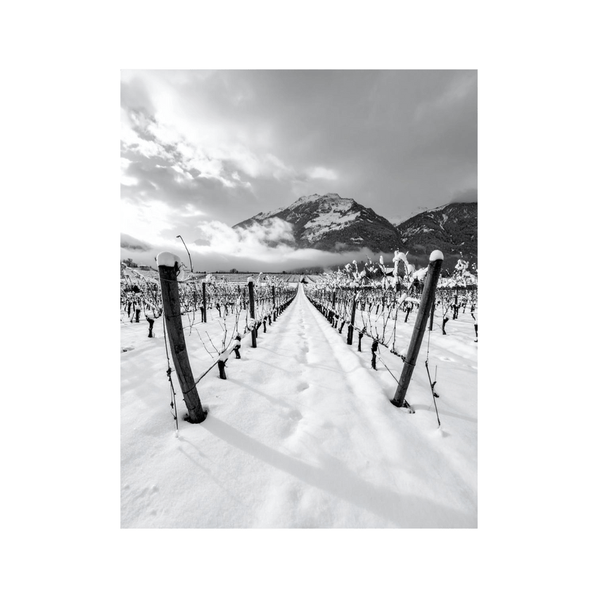 Wandbild Walliser Rebberge im Winter