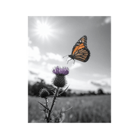 Wandbild Schmetterling Schwarz Weiss