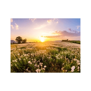 Wandbild Blühendes Feld 2