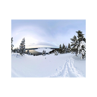 Wandbild Winter in Finnland 1