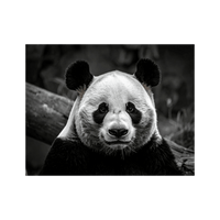 Wandbild Panda Schwarz Weiss