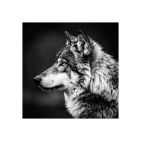 Wandbild Wolf Schwarz Weiss 2