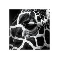 Wandbild Giraffe Schwarz Weiss