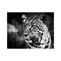 Wandbild Leopard Schwarz Weiss 2